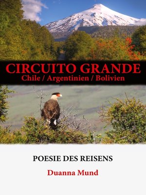 cover image of Circuito grande